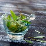 Ulei de frunze de Eucalyptus Globulus